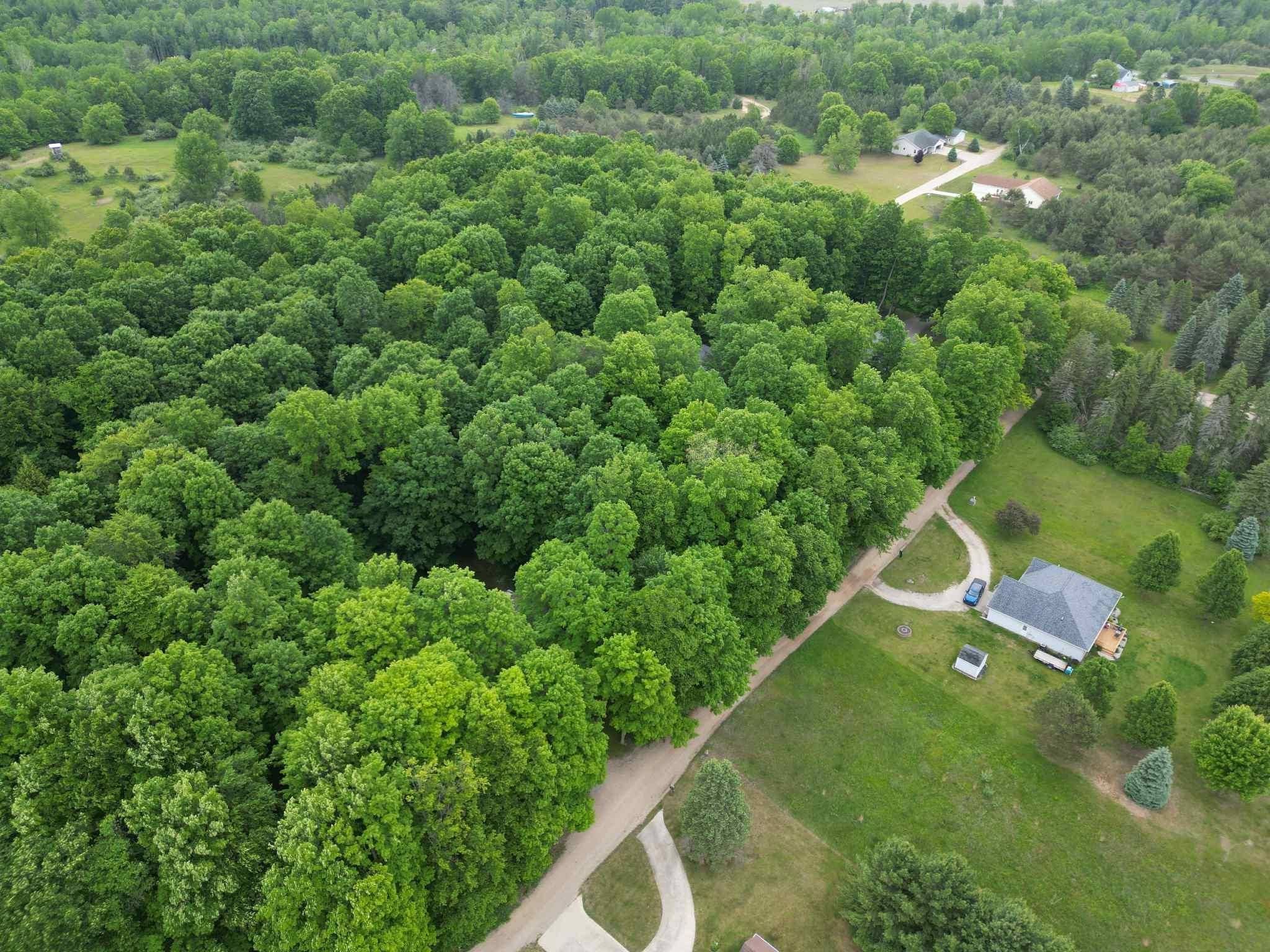 TBD Juniper DR, Surrey Twp, MI 48622
