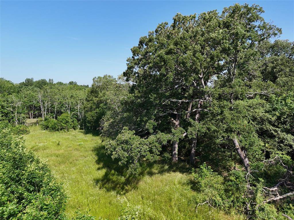 Talco, TX 75487,0046 Highway 37