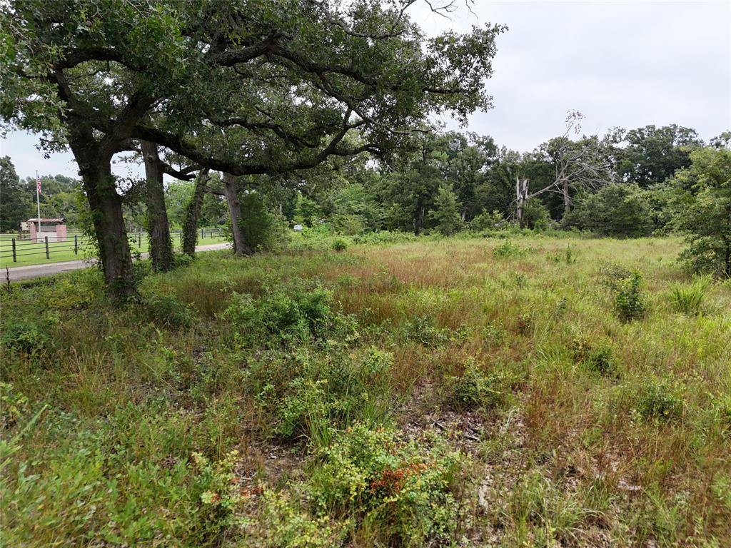 Talco, TX 75487,0046 Highway 37