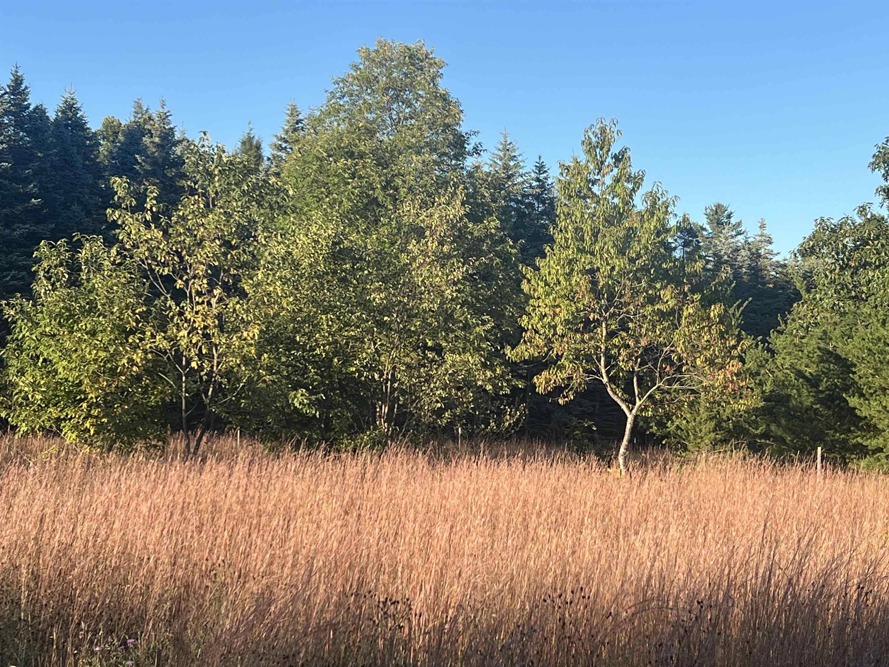 Kalkaska, MI 49646,905 Quail DR