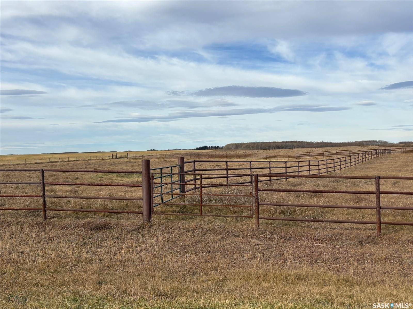 Maple Creek Rm No. 111, SK S0N 0T0,Rural Address