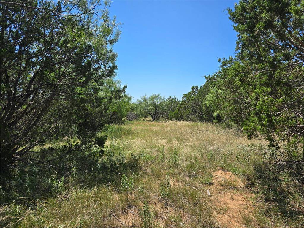 Santa Anna, TX 76878,TBD CR 102