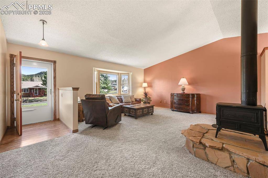 Woodland Park, CO 80863,1300 Thomas CIR