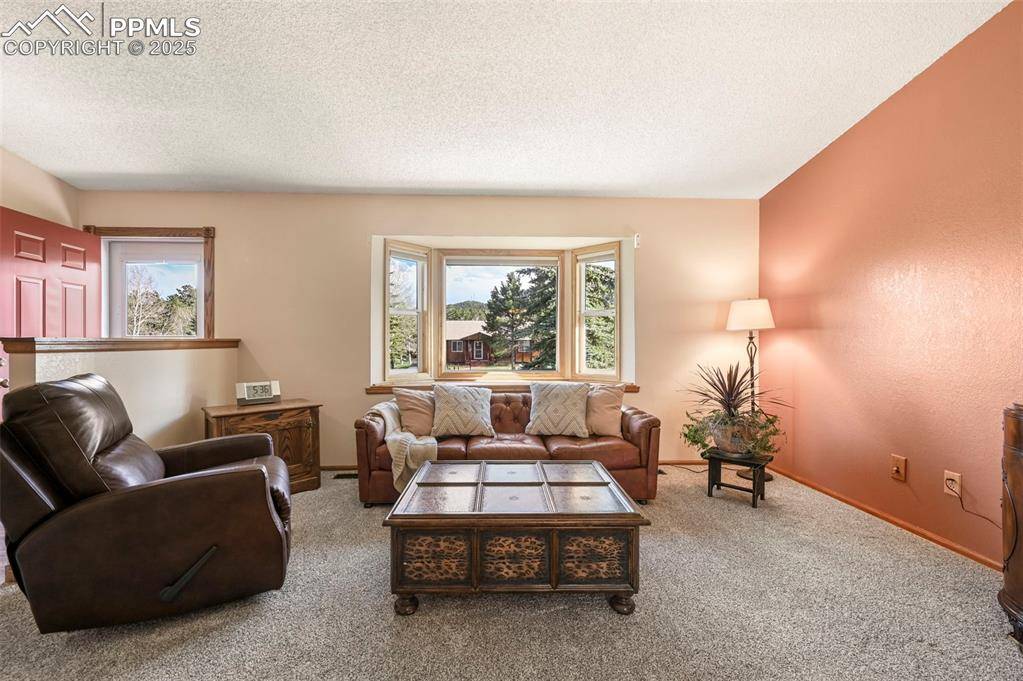 Woodland Park, CO 80863,1300 Thomas CIR