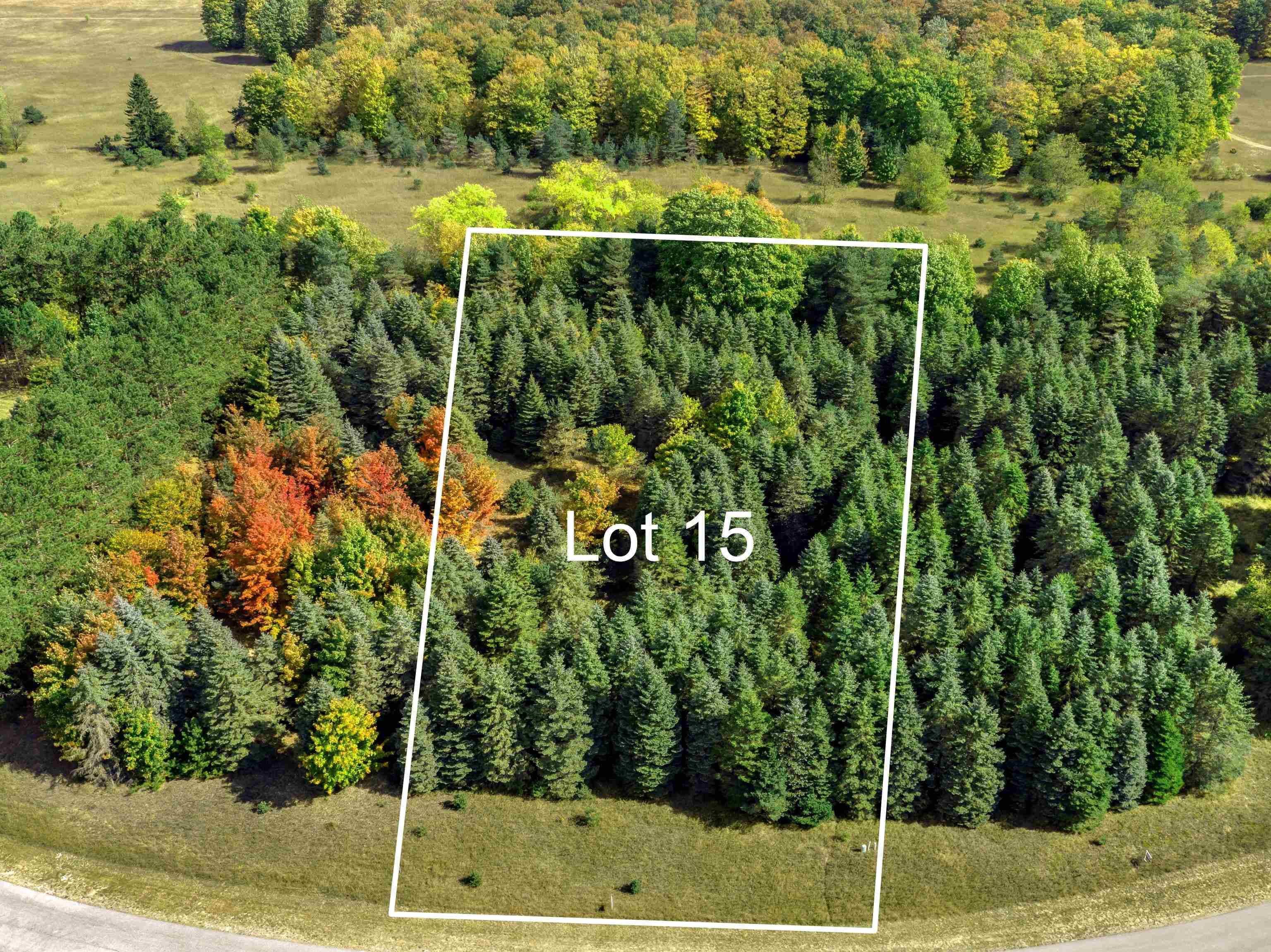 Lot 15 Lipp Farm RD, Benzonia Twp, MI 49616
