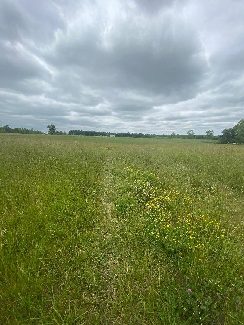 Fort Erie, ON L3B 5N7,5320 Netherby RD E