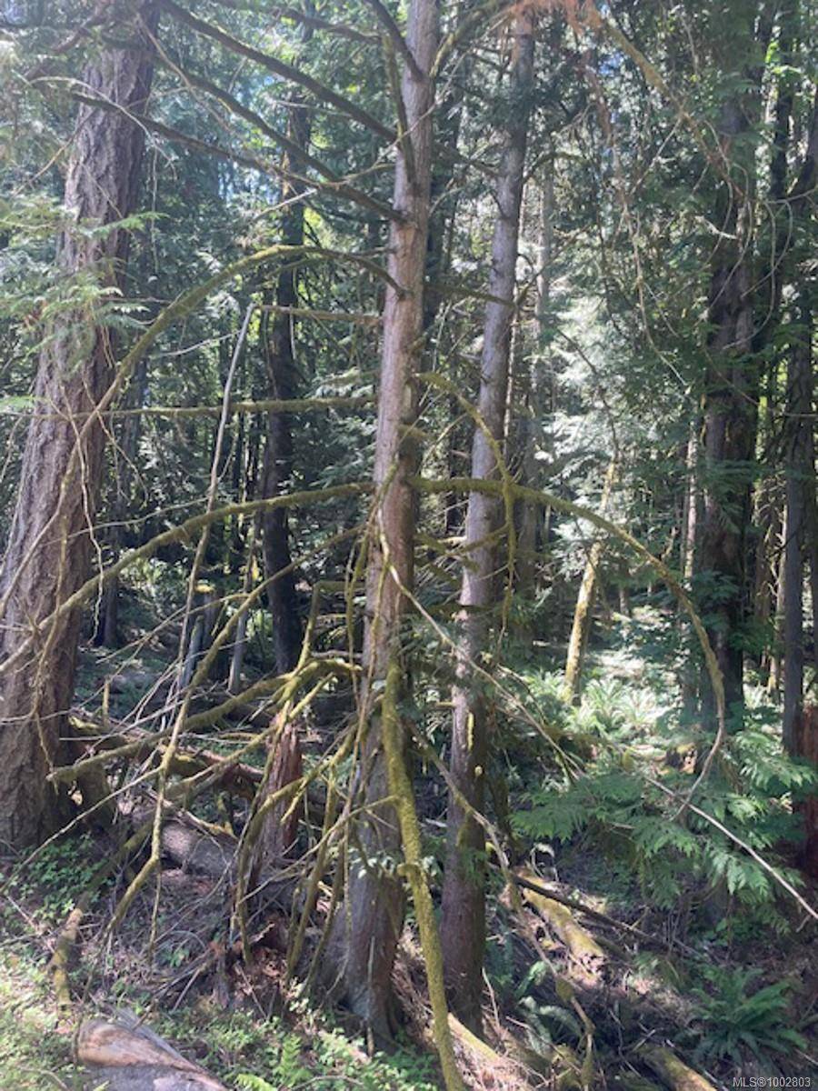 Cobble Hill, BC V0R 1L5,Lot 11 Thain Rd