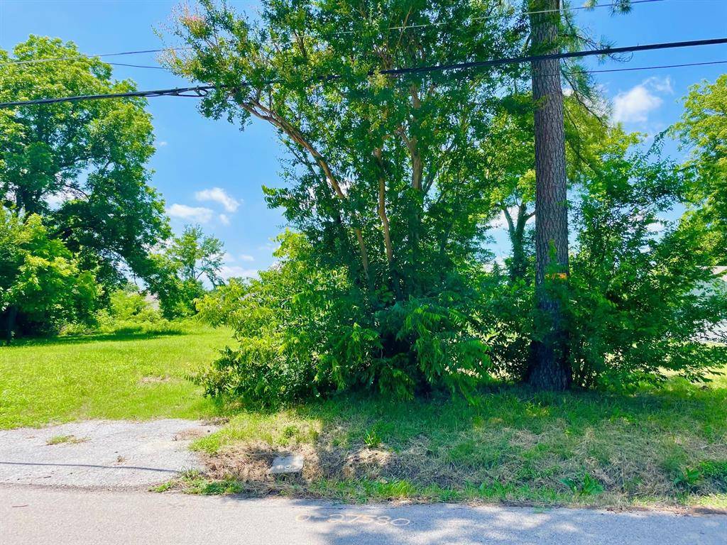 Terrell, TX 75160,806 S Medora Street