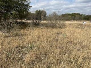 Brownwood, TX 76801,Lot 234 Feather Bay Drive