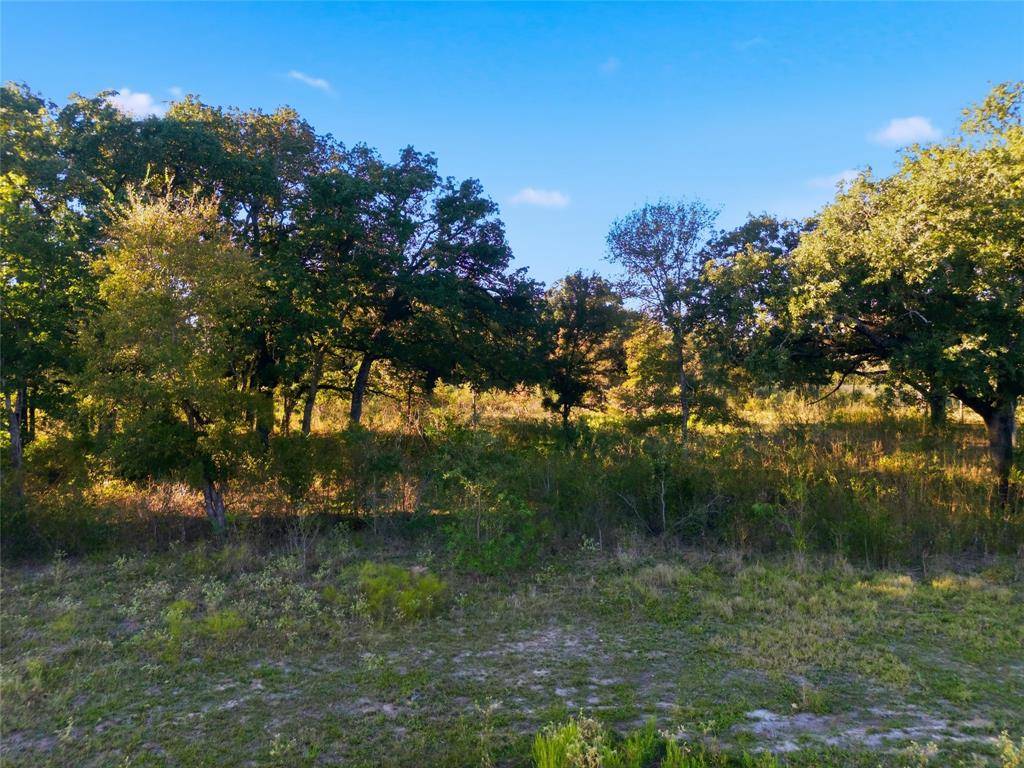 Marlin, TX 76661,TBD Fm-147