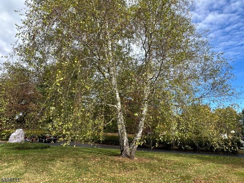 Mansfield Twp., NJ 07840,9 Brantwood Ter