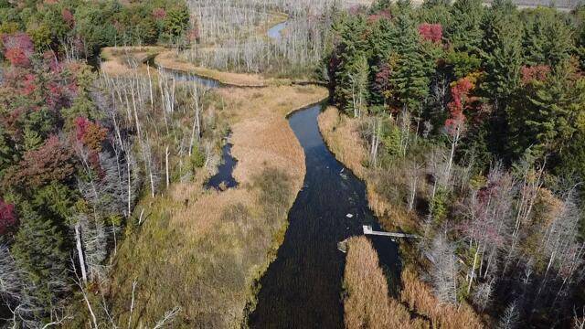 Branch, MI 49402,5683 Tyndal RD