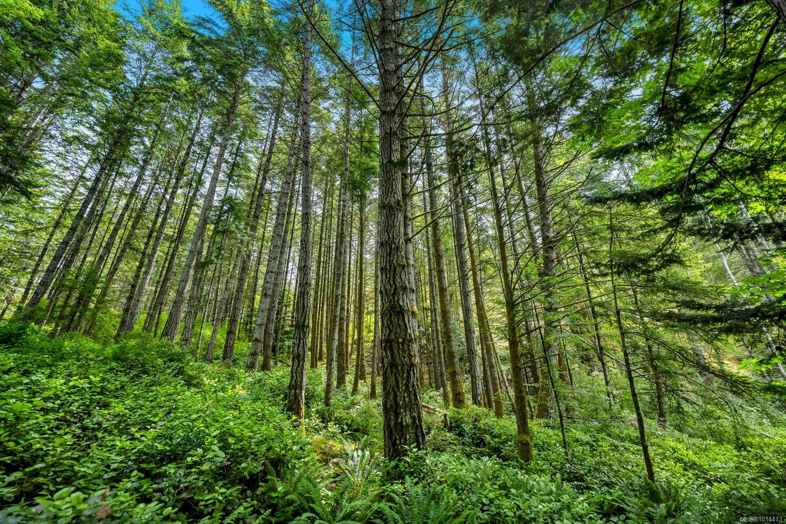 Metchosin, BC V9C 4C5,4440 Spellman Pl