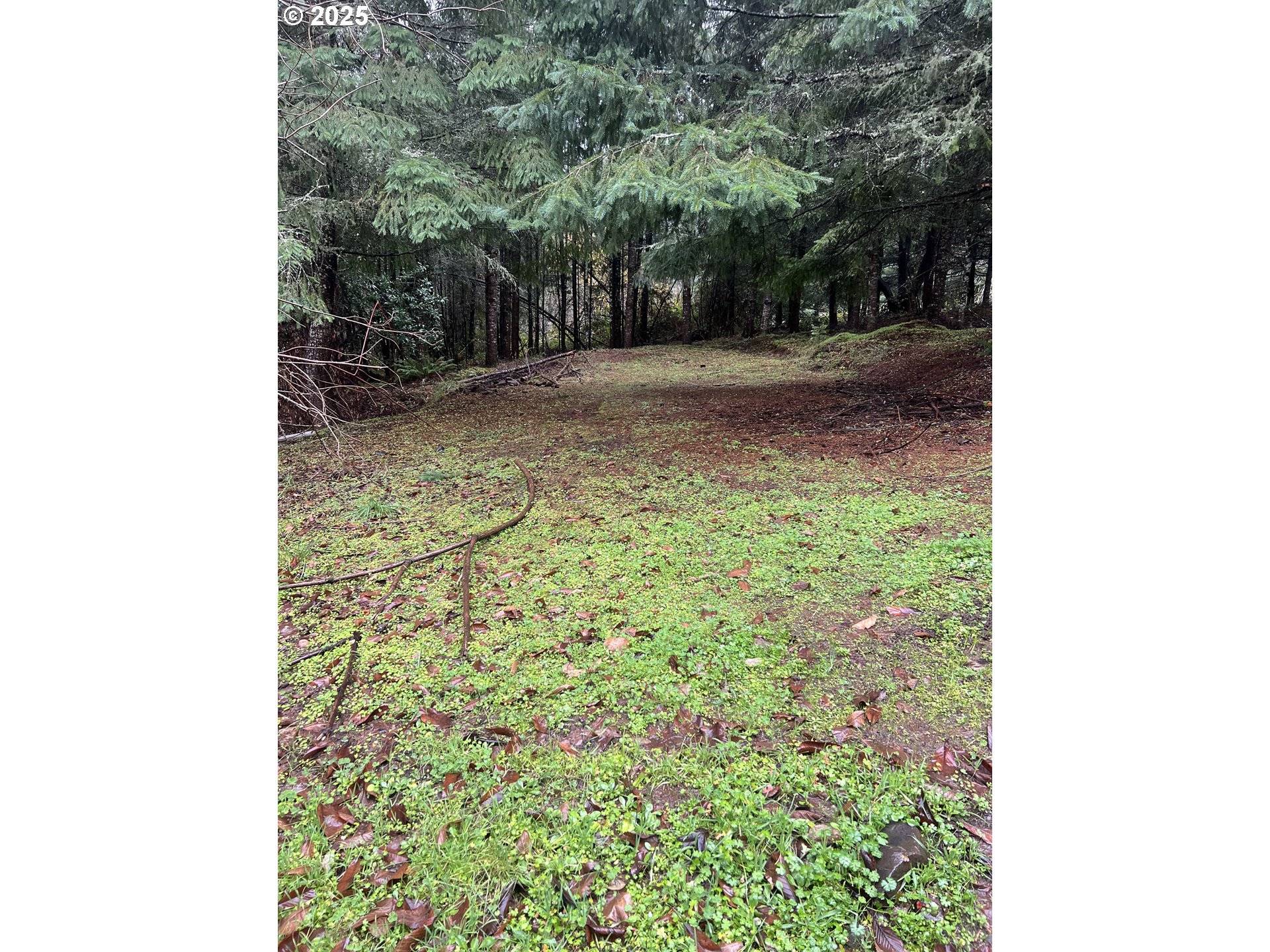 Creswell, OR 97426,82964 HUNGRY HILL RD