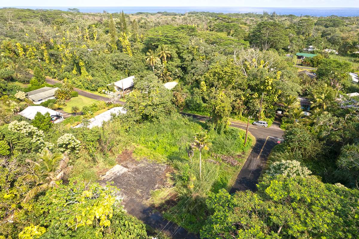Pahoa, HI 96778,15-362 MAMO ST