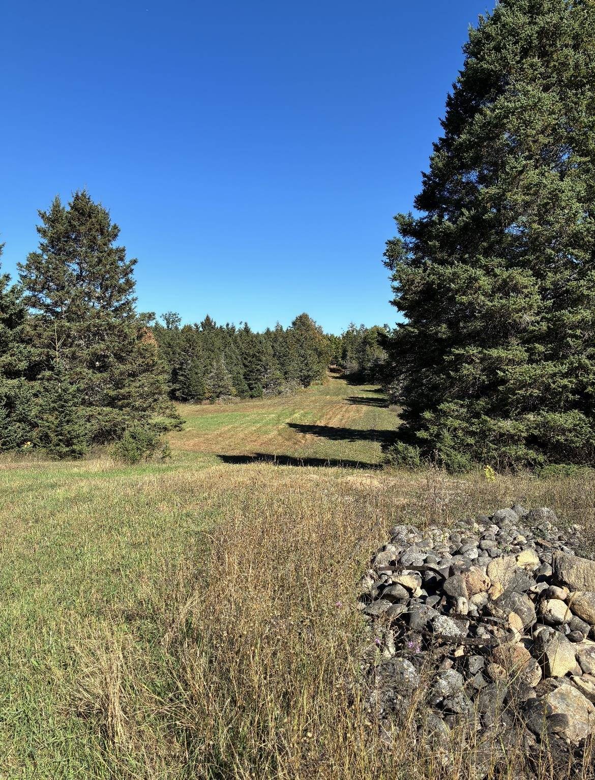 Fife Lake, MI 49633,0 Henschell RD