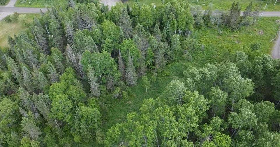 East Ferris, ON P0H 1K0,Lot 9 Part 1 Johnson RD