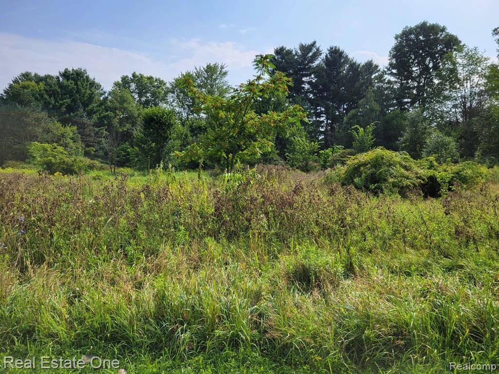 Otter Lake, MI 48464,ABC Hemingway Lake