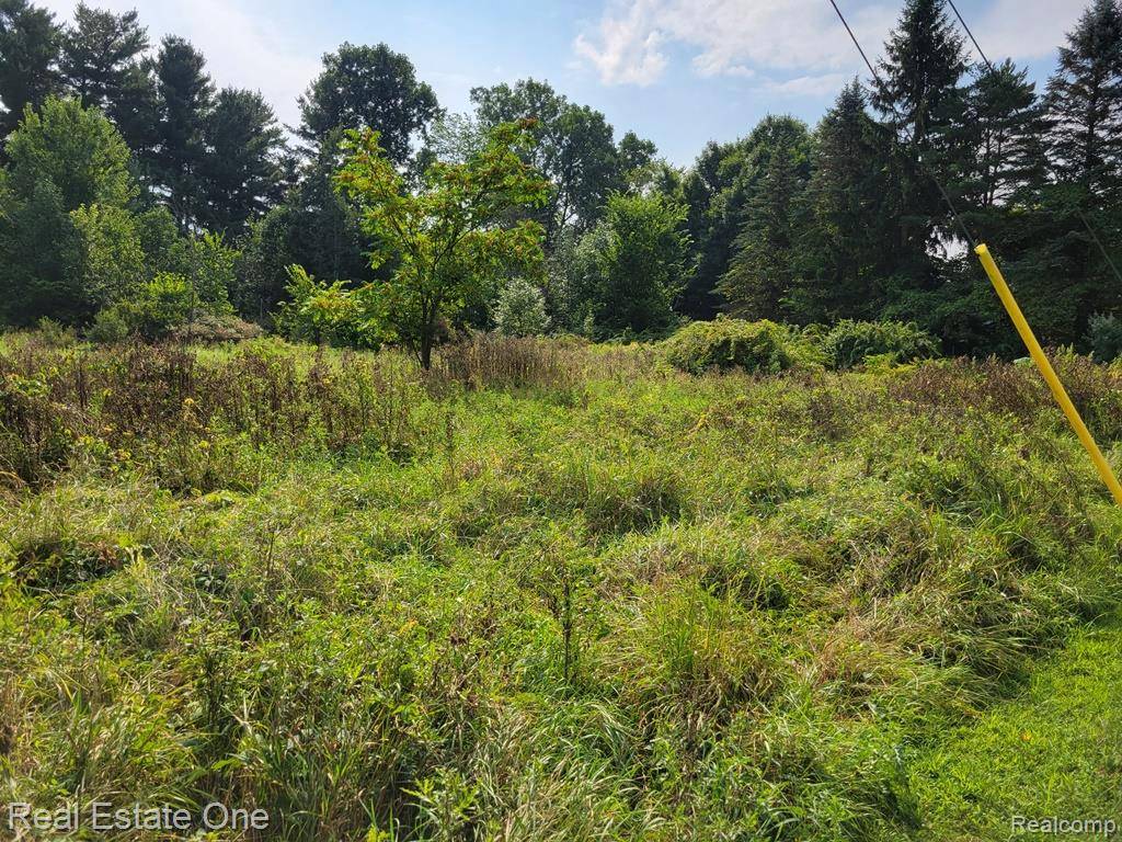 Otter Lake, MI 48464,ABC Hemingway Lake