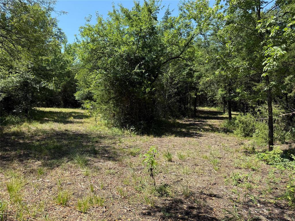 Ector, TX 75439,310 W Cardinal Street