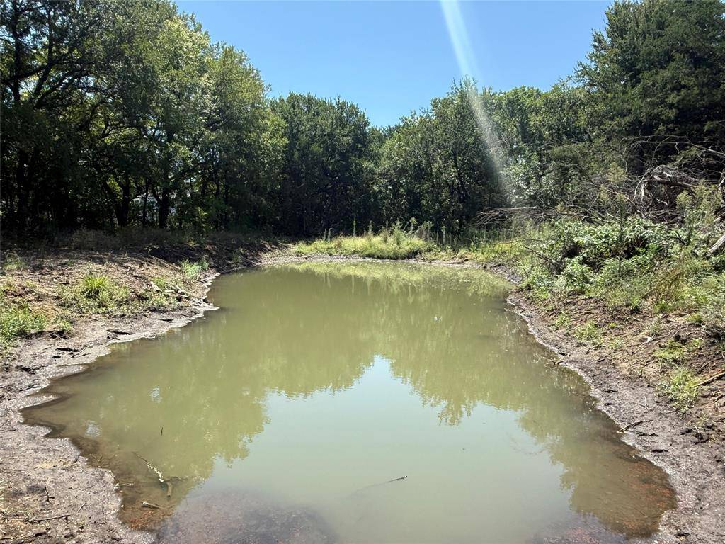 Ector, TX 75439,310 W Cardinal Street