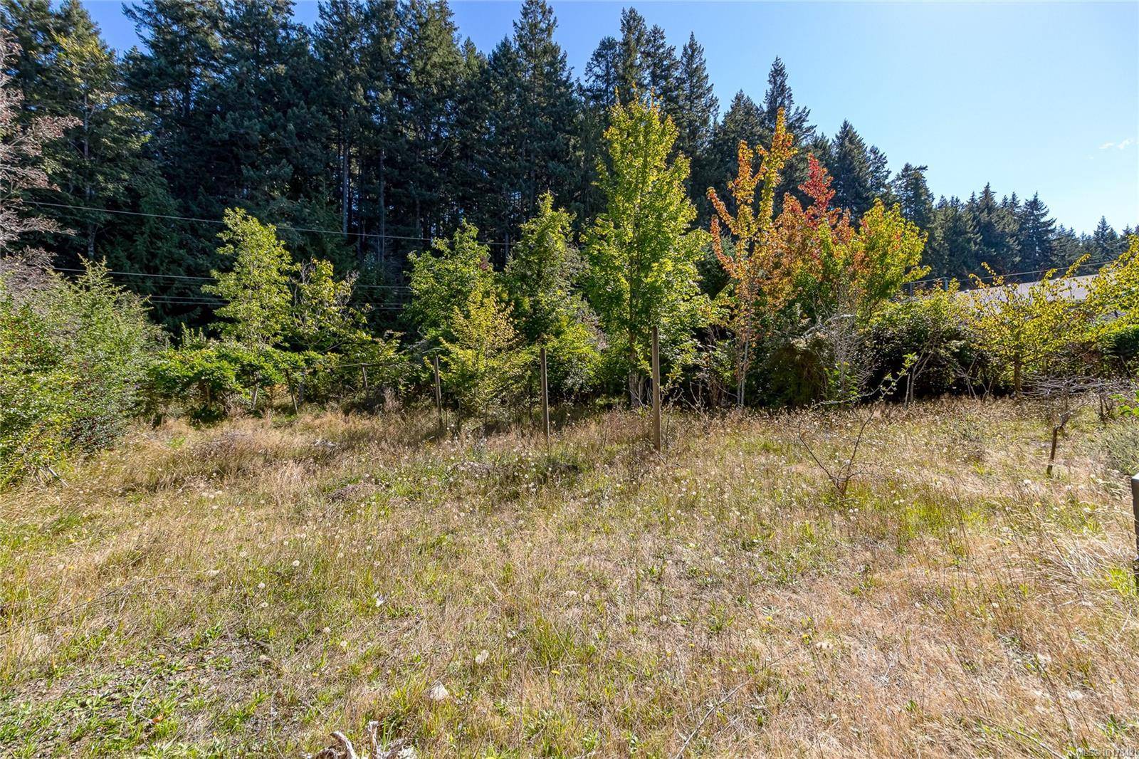 Bowser, BC V0R 1G0,lot12 Lambert Lane