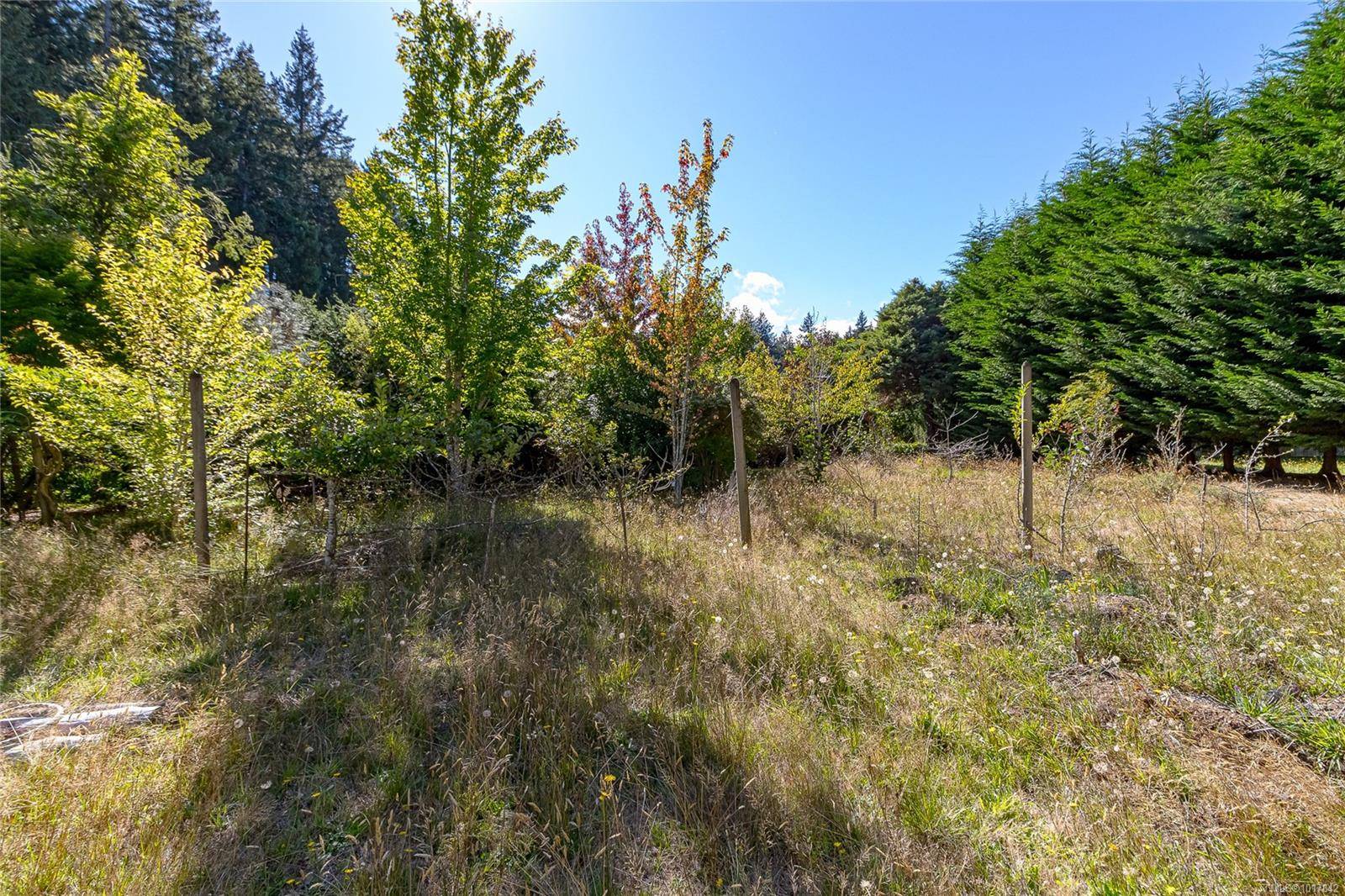 Bowser, BC V0R 1G0,lot12 Lambert Lane