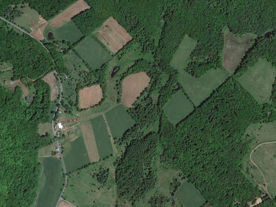 Roxbury, NY 12474,0 Johnson Hollow RD