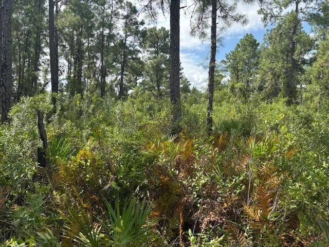 Frostproof, FL 33843,0 hwy 630e