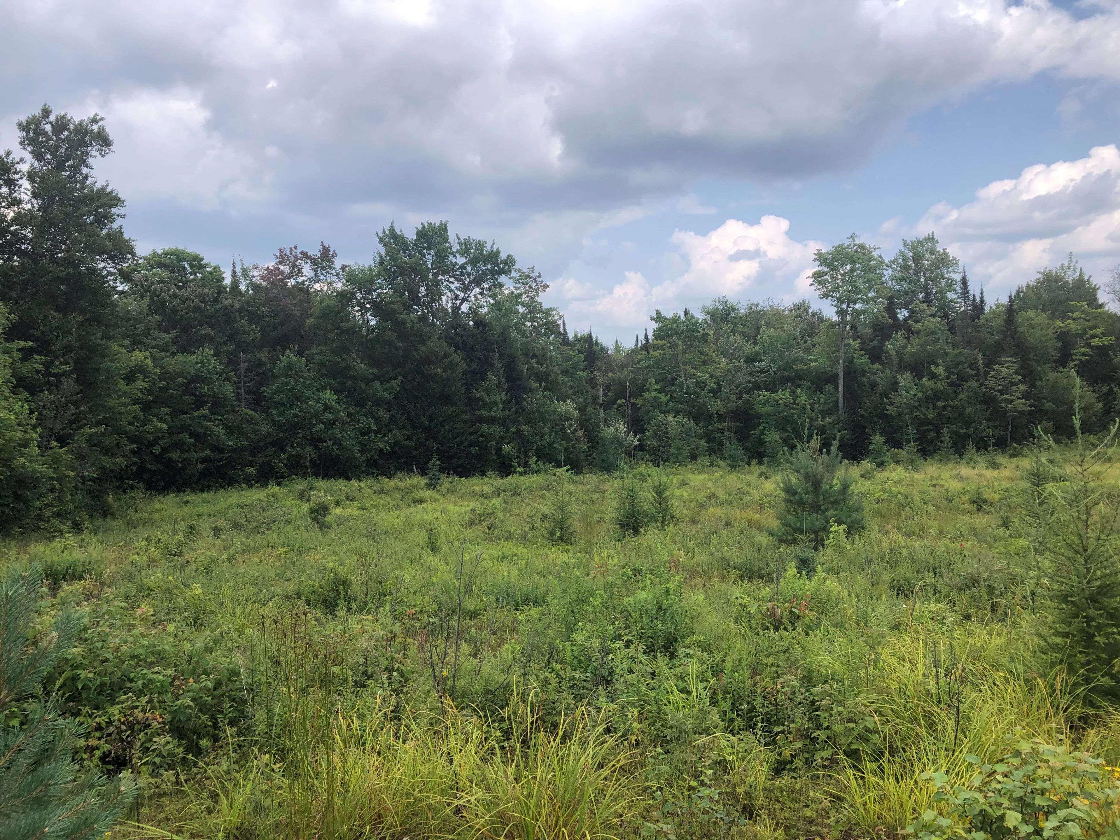 Strong, ON P0A 1Z0,522 ALBERT ST N