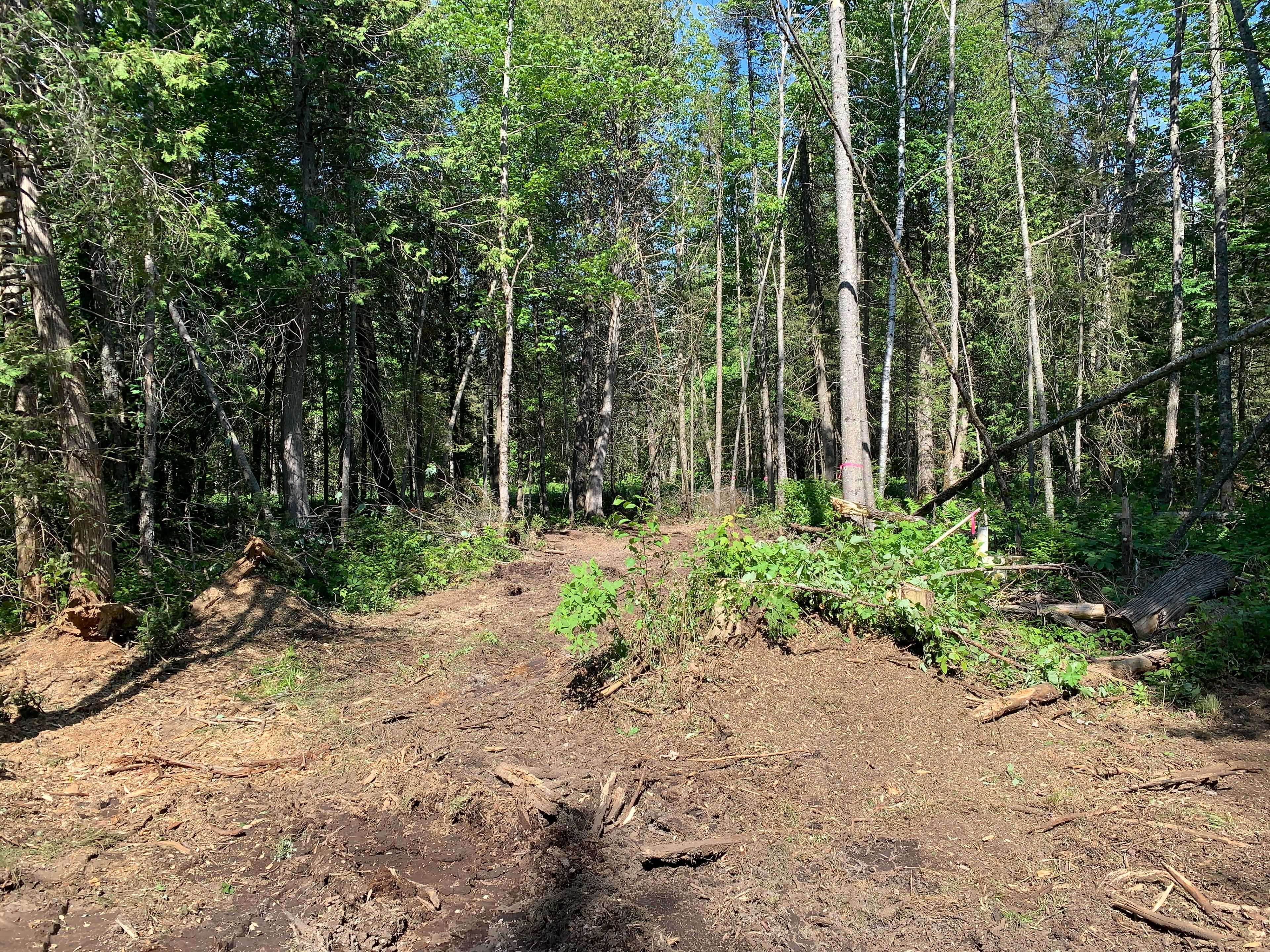 Strong, ON P0A 1Z0,522 ALBERT ST N