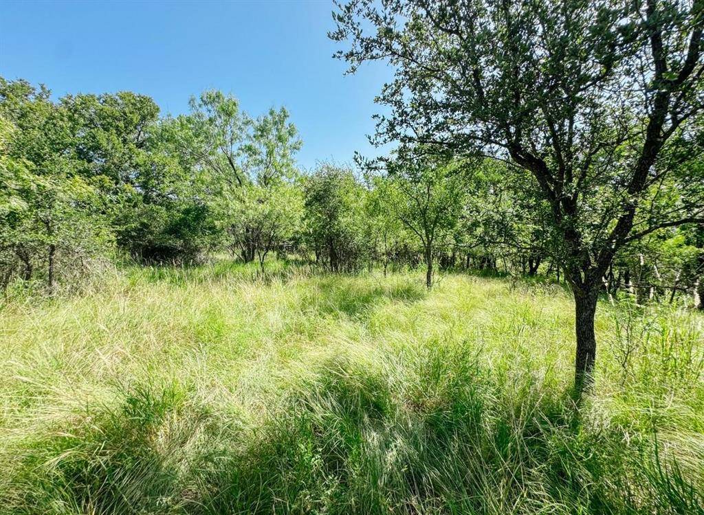 Brownwood, TX 76801,Lot 11 Morris Sheppard Drive