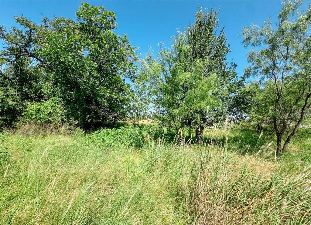 Brownwood, TX 76801,Lot 11 Morris Sheppard Drive