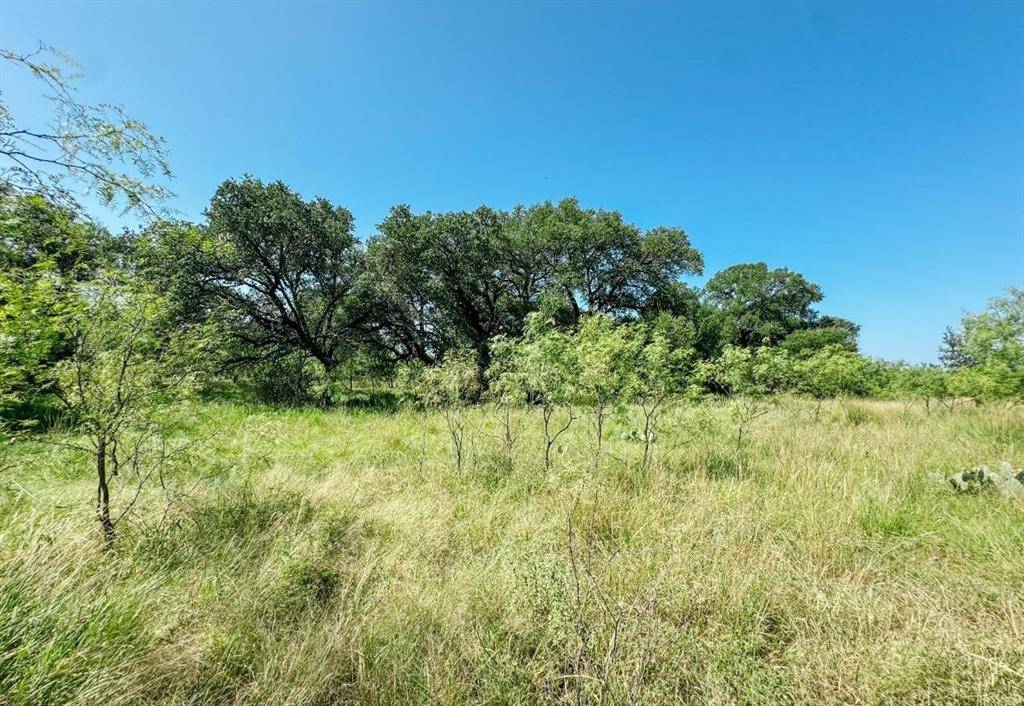 Brownwood, TX 76801,Lot 6 Morris Sheppard Drive