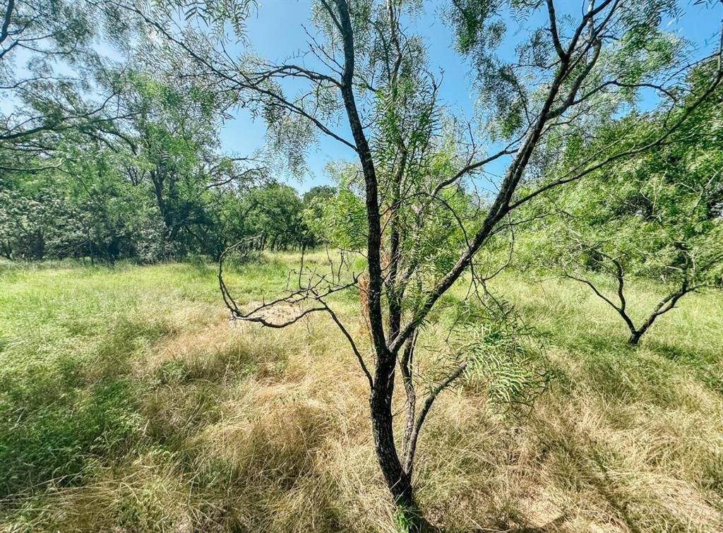 Brownwood, TX 76801,Lot 6 Morris Sheppard Drive