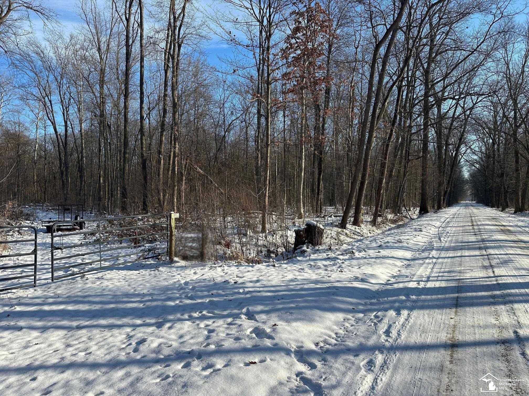 Maybee, MI 48159,Hivon RD