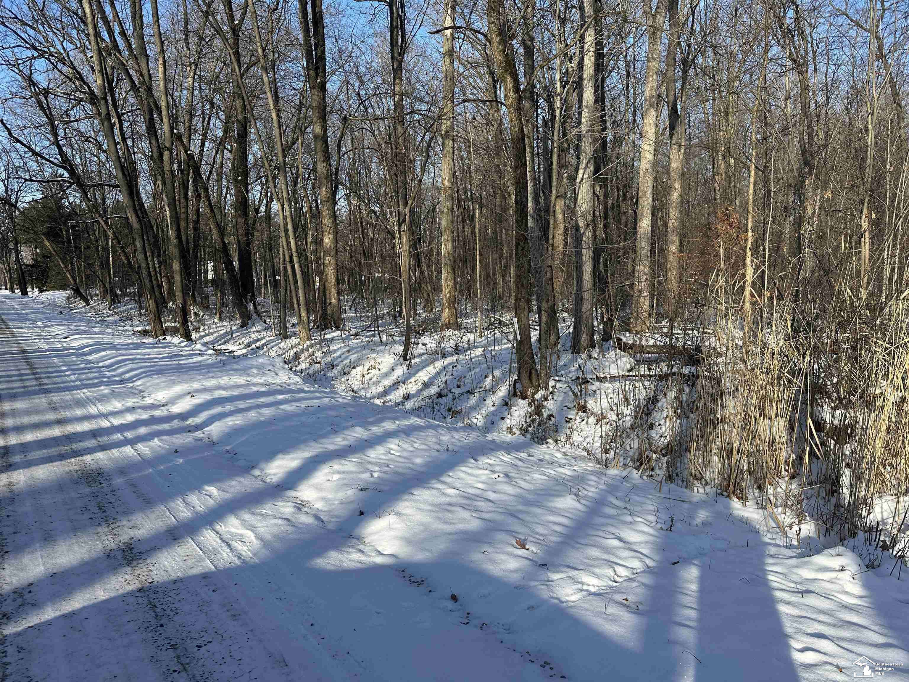 Maybee, MI 48159,Hivon RD