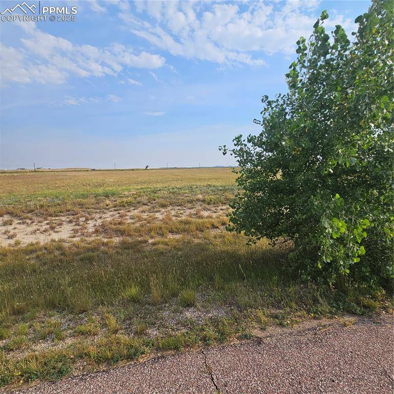 Peyton, CO 80831,16094 E McCara CT