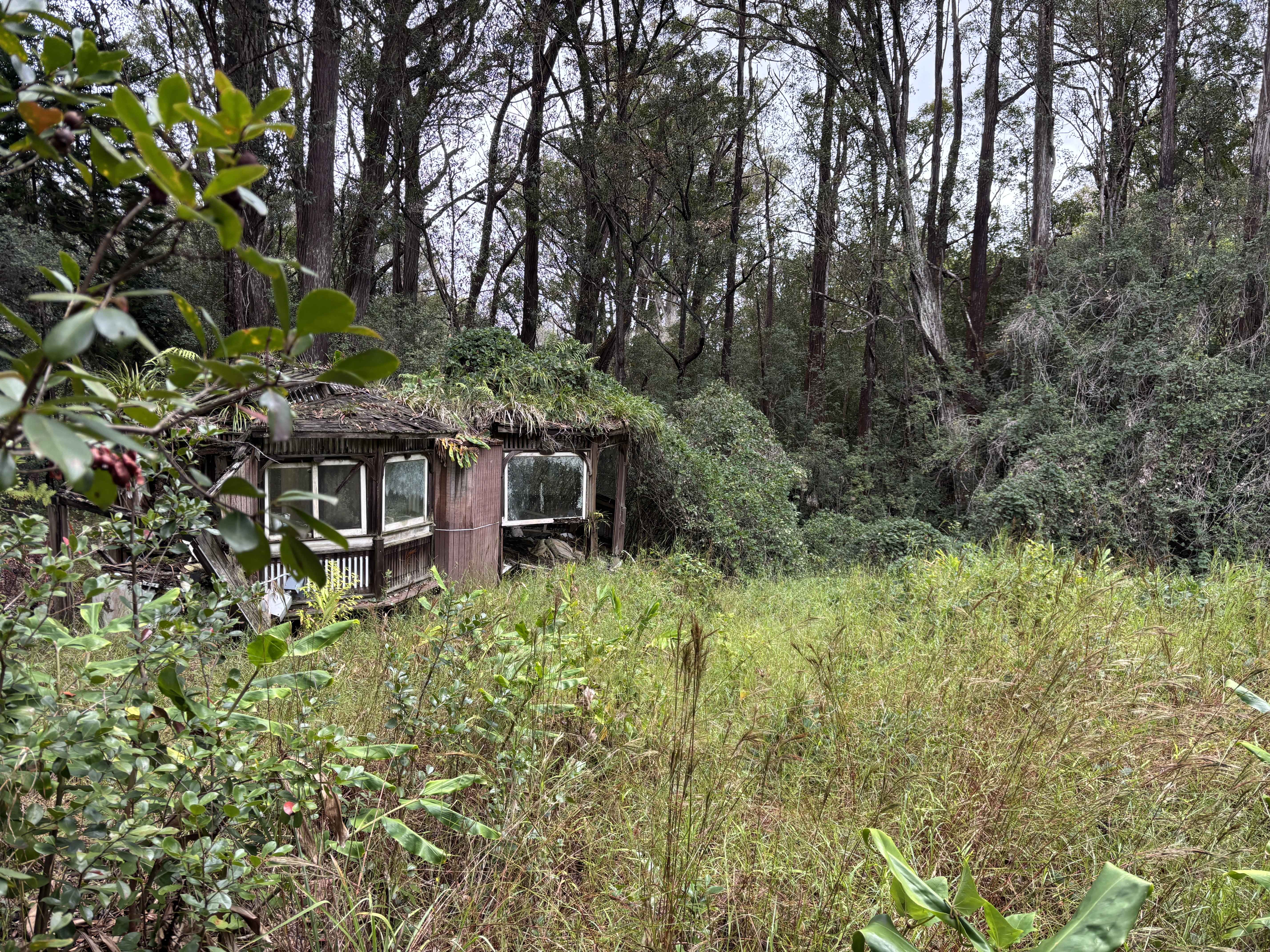 Honokaa, HI 96727,46-3989 KAPUNA RD