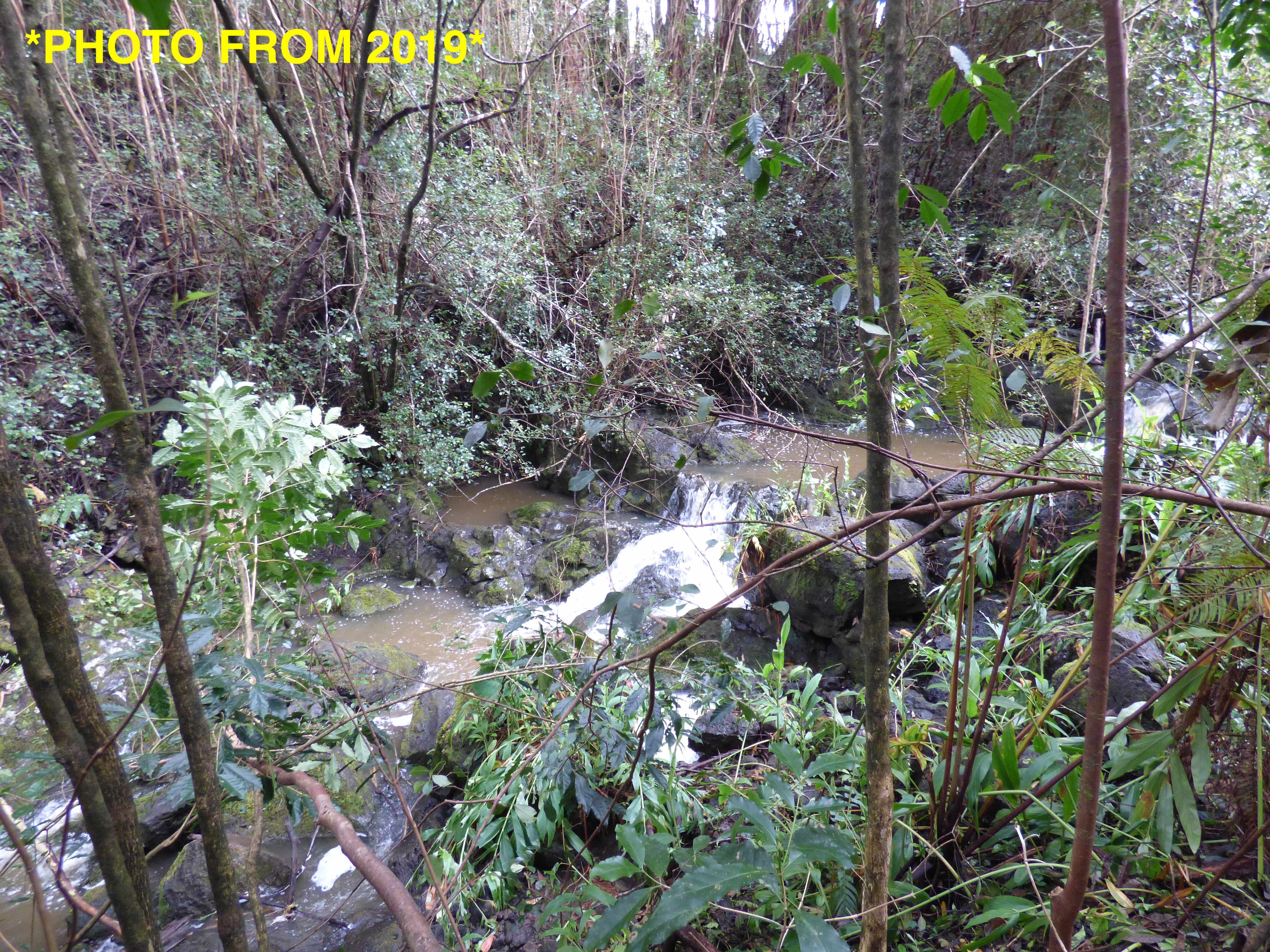 Honokaa, HI 96727,46-3989 KAPUNA RD