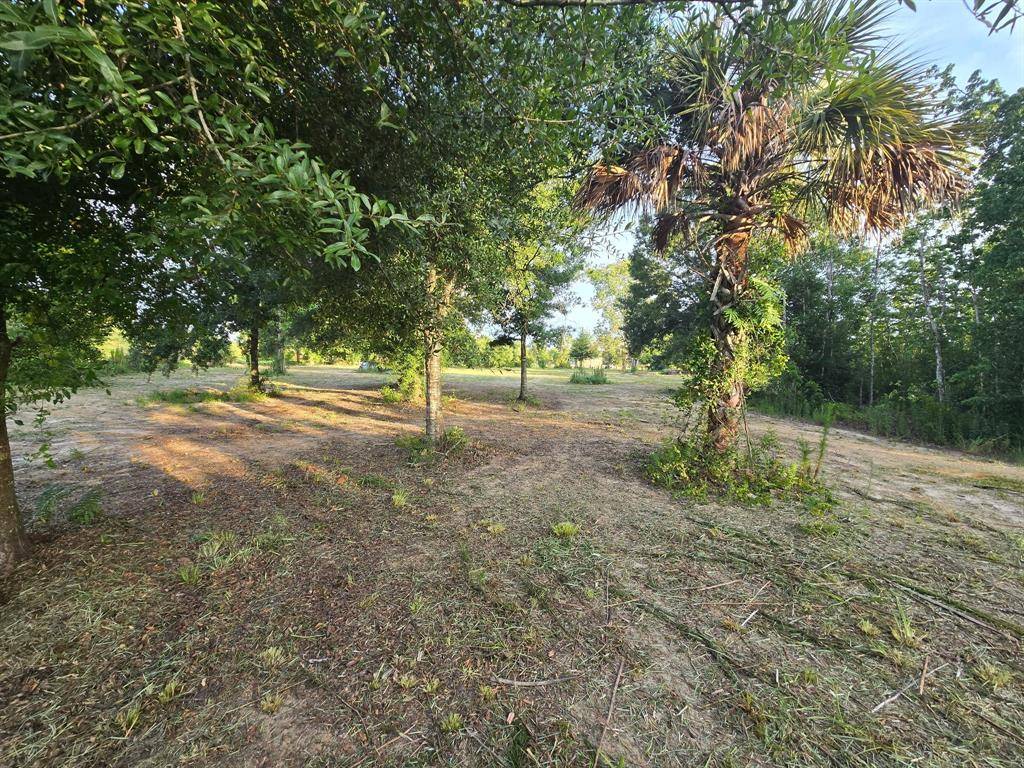 Okeechobee, FL 34972,16431 NW 254th St