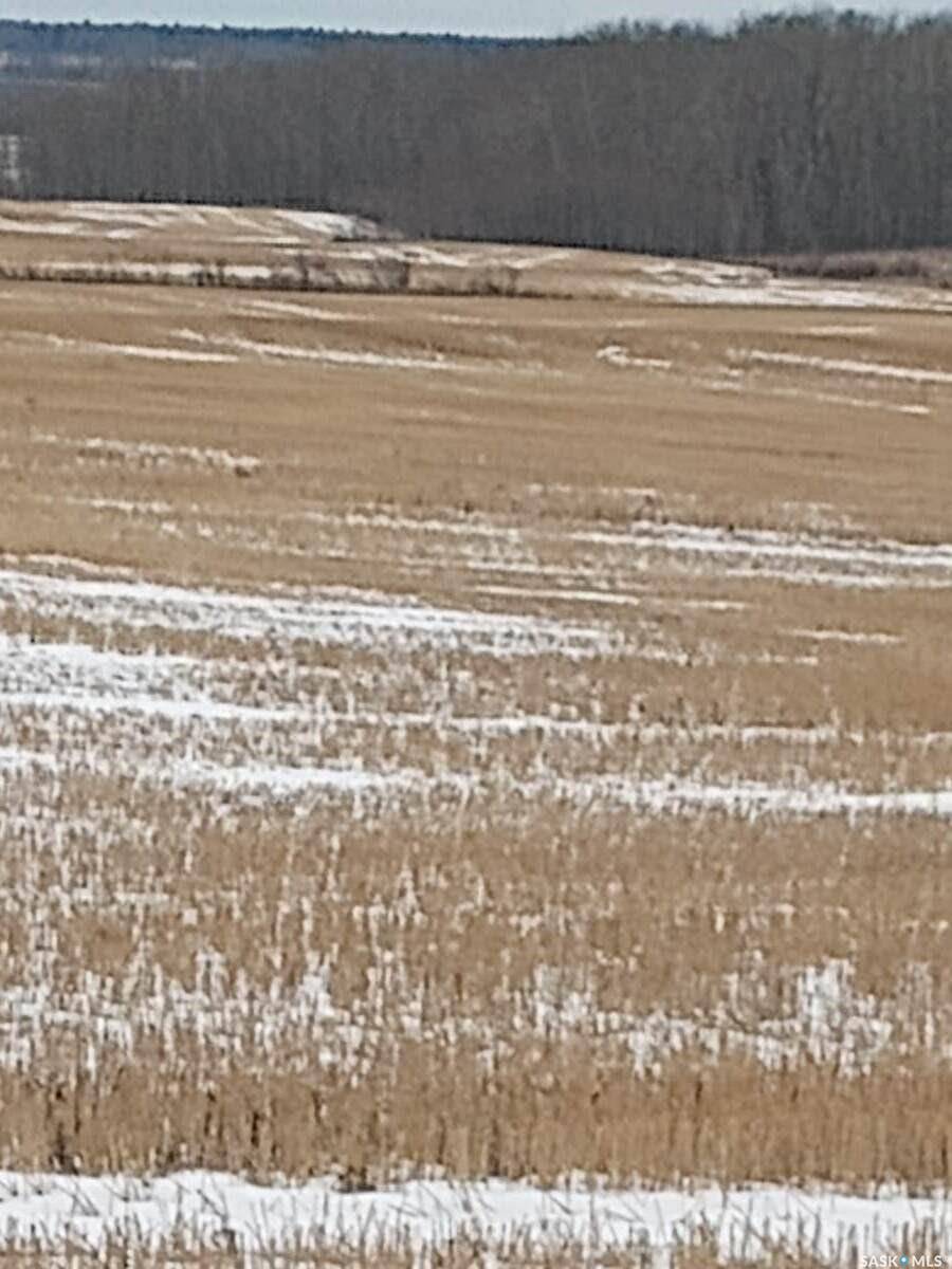 Endeavour, SK S0A 0W0,Rural Address