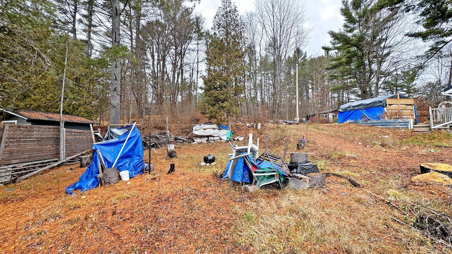 Dysart Et Al, ON K0M 1S0,1038 Pike LN