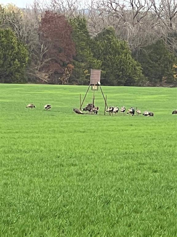 Carlton, TX 76436,TBD County Road 382