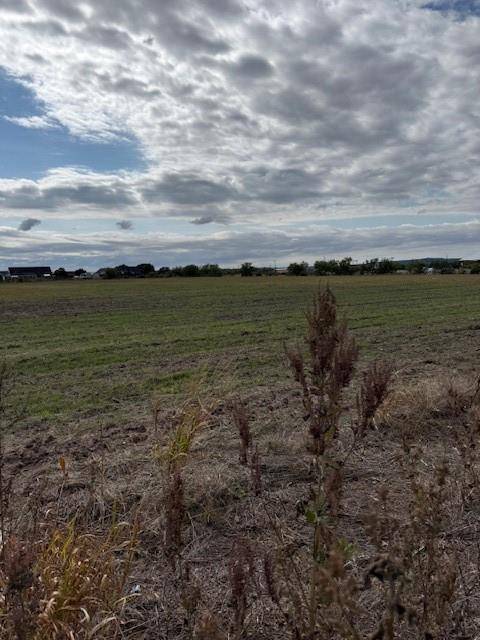 Abilene, TX 79602,TBD FM 1750 Road