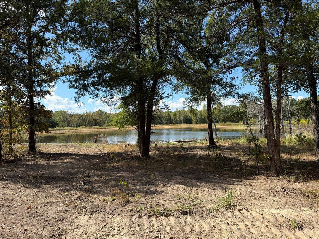 Quitman, TX 75783,TBD 100+/- Acres SH 154