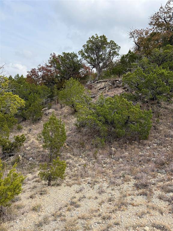 Tuscola, TX 79562,TBD Butterfield Trail