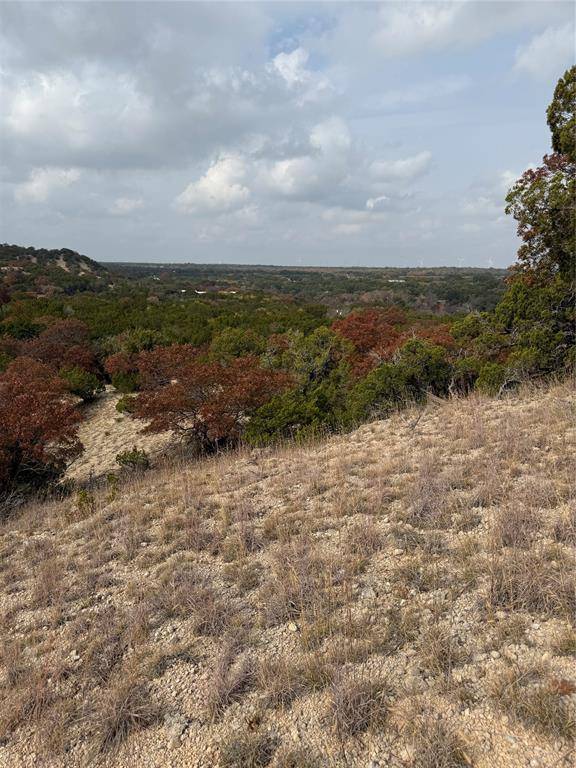 Tuscola, TX 79562,TBD Butterfield Trail