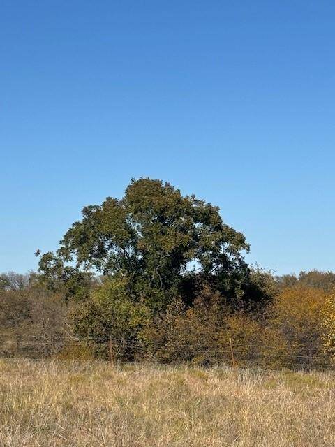 Krum, TX 76249,124.75ac Donald Road