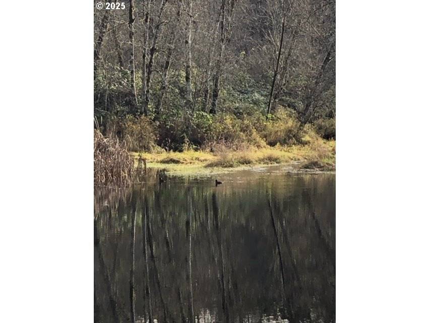 Amboy, WA 98601,17719 NE MANNING CIR